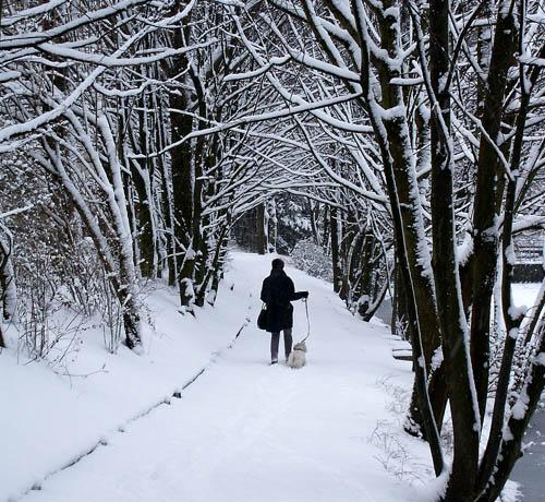 Winterdienst sowie Räum- und Streupflicht in Puchheim